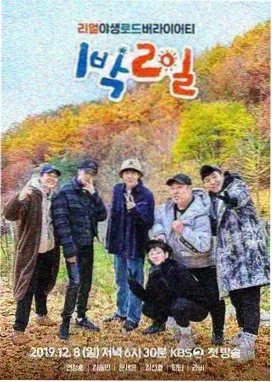 高清免费观看在线观看-花儿与少年·丝路季