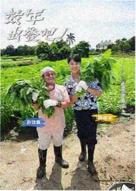 高清免费观看在线观看-向往的生活7